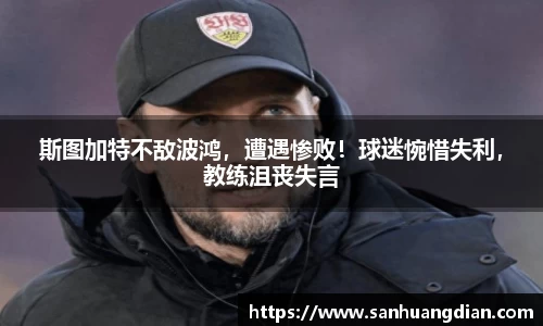 芒果体育