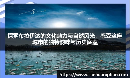 芒果体育网址